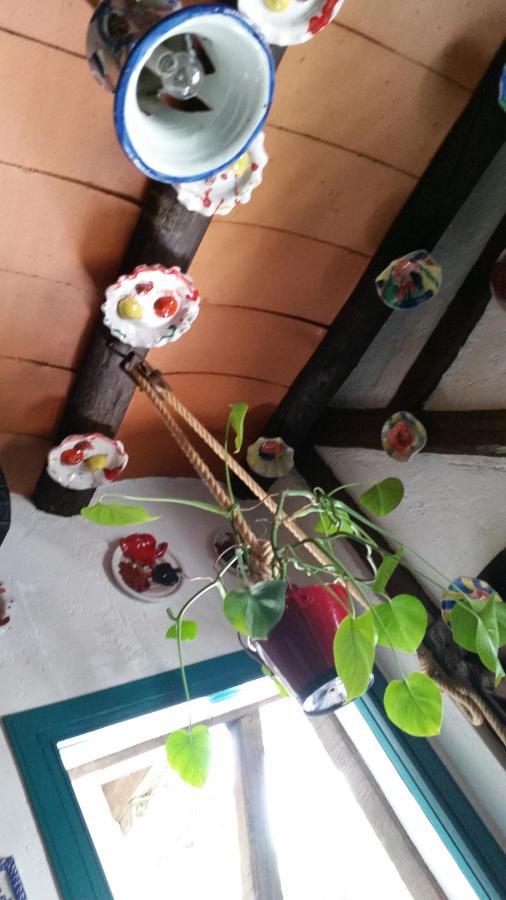 Hostal La Ninfa Grenada Zewnętrze zdjęcie