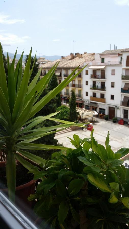 Hostal La Ninfa Grenada Zewnętrze zdjęcie